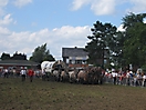 Trekpaardenhappening 2009