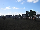 Trekpaardenhappening 2009