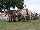 Trekpaardenhappening 2011