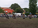 Trekpaardenhappening 2011